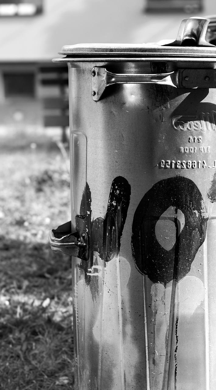 Organizarea deșeurilor reciclabile în casă