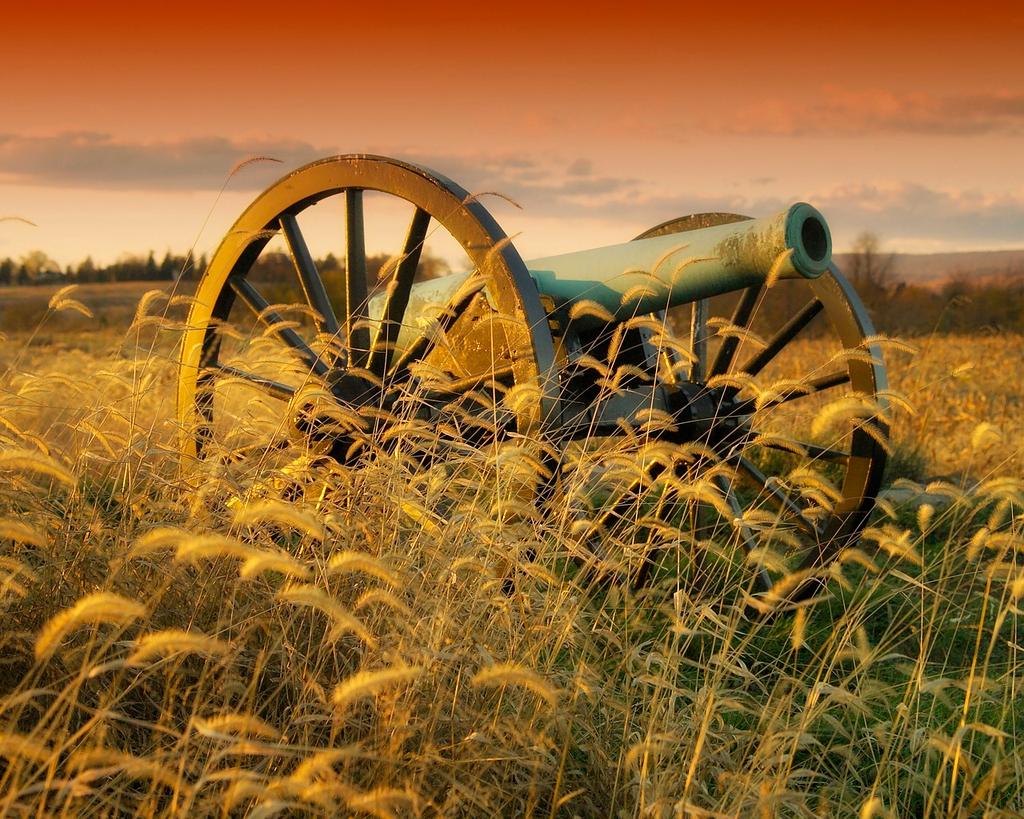 Dormitor cu multe plante verzi și mobilier din materiale naturale reciclate