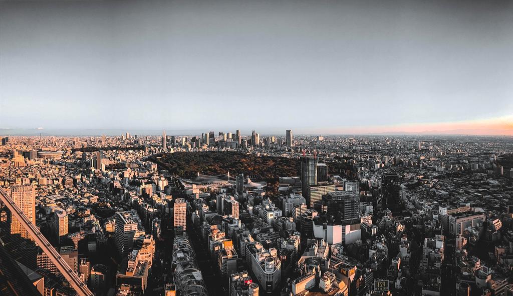 Elena Dumitrescu - Consultant smart home